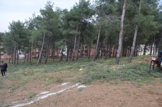 AHRAZOĞLU, KIRIKHAN MESİRE ALANINDAKİ AĞAÇ KATLİAMINI MECLİS GÜNDEMİNE TAŞIMAYA DEVAM EDİYOR.
