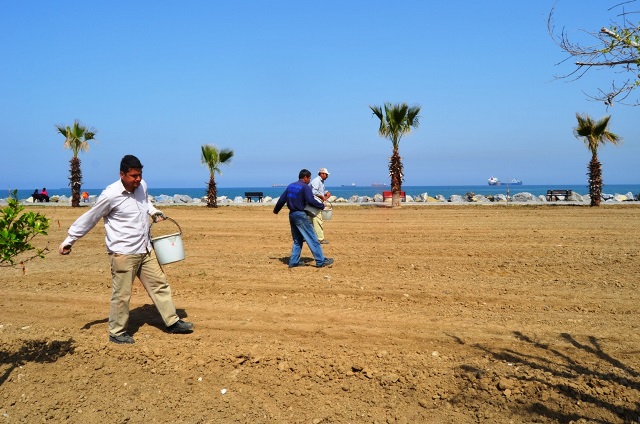 İskenderun Sahili Doğal Yeşile Boyanıyor