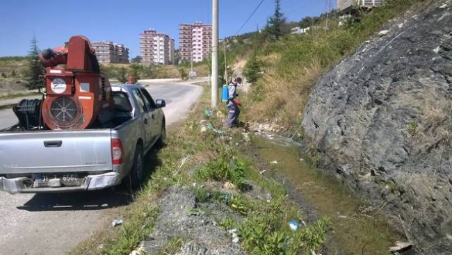 İSKENDERUN BELEDİYESİNDEN YAZA HAZIRLIK ÇALIŞMALARI BAŞLADI