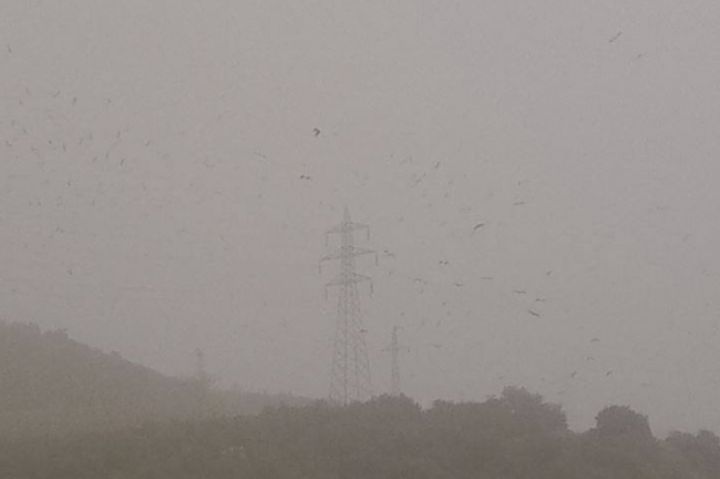 İSKENDERUN’DA HER YER TOZ DUMAN ÇÖL FIRTINALARI İSKENDERUNDA