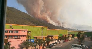 İSKENDERUN'DA ORMAN YANGINI