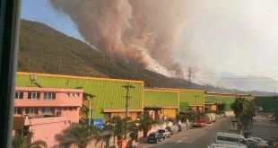 İSKENDERUN’DA ORMAN YANGINI