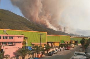 İSKENDERUN'DA ORMAN YANGINI