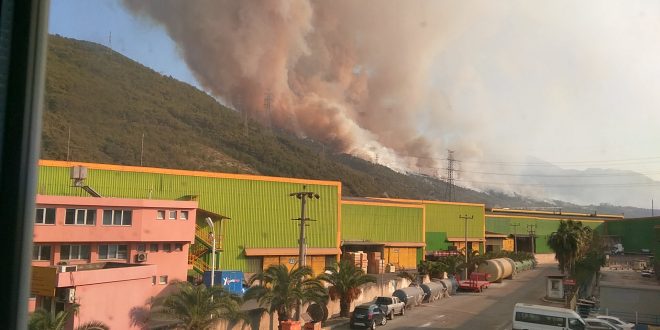 İSKENDERUN'DA ORMAN YANGINI