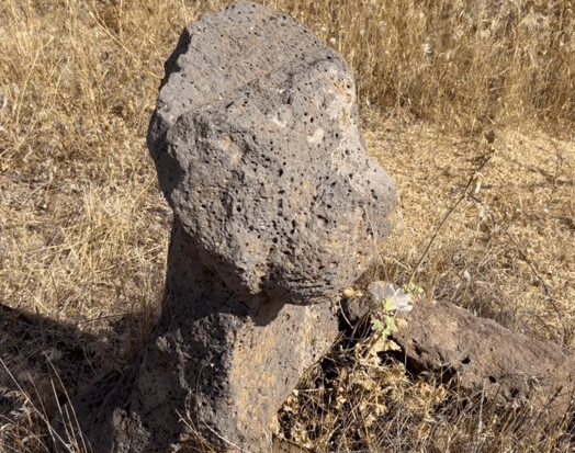Dünyada Sayılı Türk Mezarlarından Biri Bakımsız Kaldı