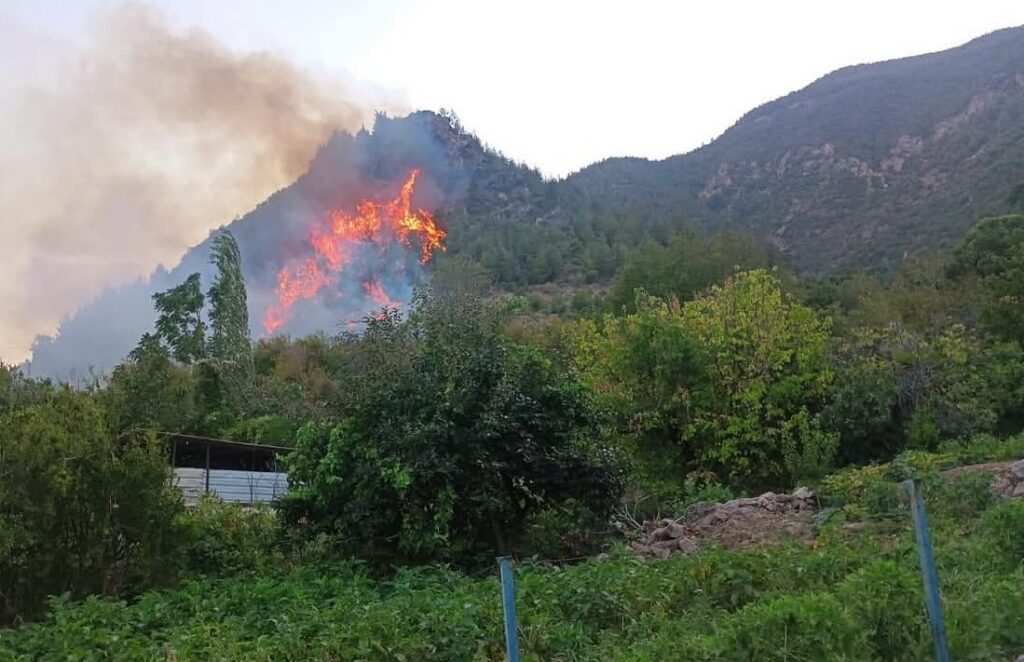Hatay’da 3 Günlük Orman Yangınları: Gözlenen Gelişmeler ve Müdahale Süreci