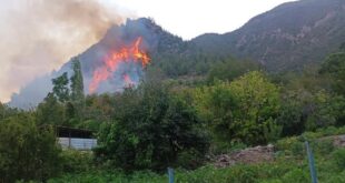 Hatay’da 3 Günlük Orman Yangınları: Gözlenen Gelişmeler ve Müdahale Süreci