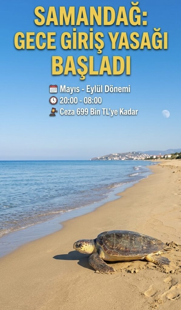 İhlal Edenlere Rekor Ceza: 699 Bin 245 TL!