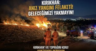 Hatay Kırıkhan’da Anız Yangını Zeytinliğe Sıçradı: “Anız Yakma, Toprağını Karartma!”