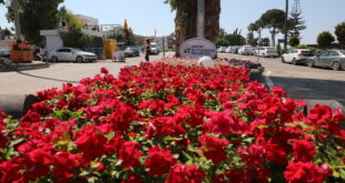 Hatay Arsuz’da Çiçek Açtı: Hatay Büyükşehir Belediyesi’nin Dokunuşları