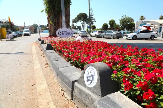 foto.jpg Hatay Arsuz'da çiçek açtı