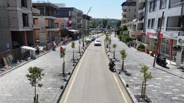 foto.jpg Hatay Arsuz'da çiçek açtı