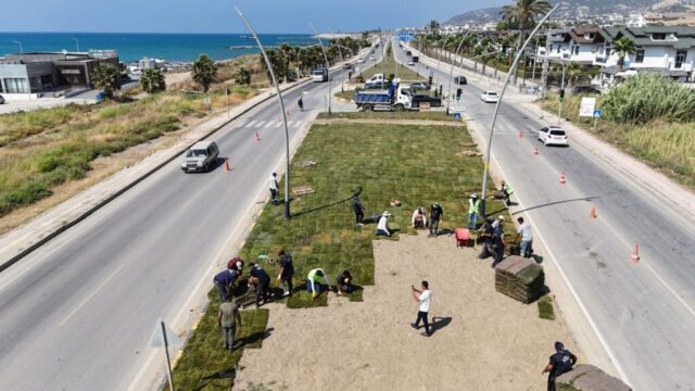 foto.jpg Hatay Arsuz'da çiçek açtı