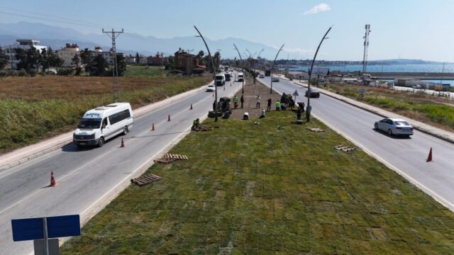 foto.jpg Hatay Arsuz'da çiçek açtı