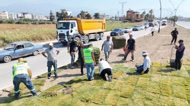 foto.jpg Hatay Arsuz'da çiçek açtı