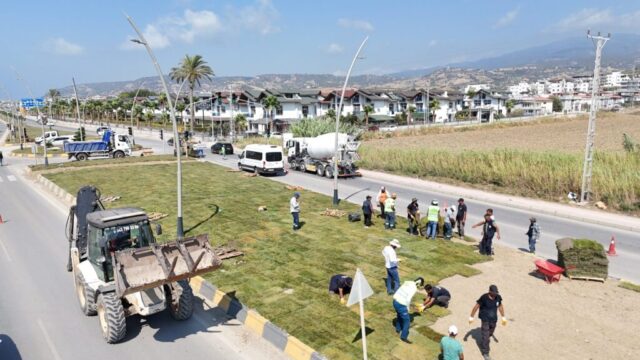 foto.jpg Hatay Arsuz'da çiçek açtı