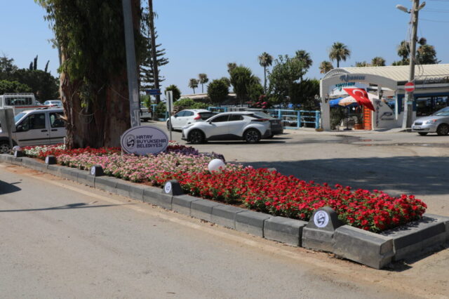foto.jpg Hatay Arsuz'da çiçek açtı