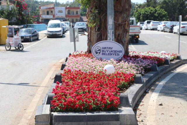 foto.jpg Hatay Arsuz'da çiçek açtı
