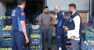 Hatay Büyükşehir Belediyesi denetim ekibi