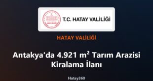 Antakya’da 4.921 m² Tarım Arazisi Kiralama İlanı