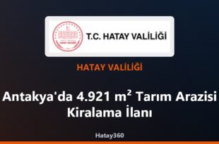 Antakya’da 4.921 m² Tarım Arazisi Kiralama İlanı