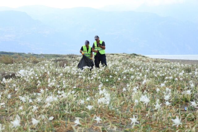 foto.jpg Samandağ sahilinde temizlik yapan HBB ekipleri