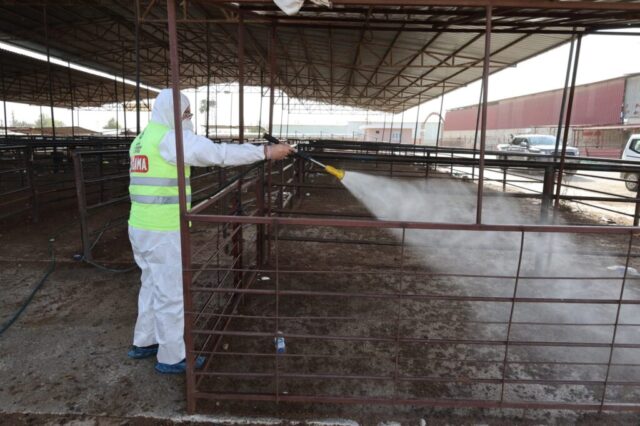 Karasinek kontrol çalışması yapan HBB ekipleri