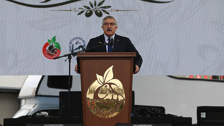 Altınözü Zeytin Festivali: Hatay’ın Hasat Geleneği