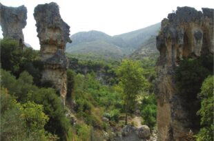 Roma Dönemi Depremleri ve Antiokheia’nın İmarı