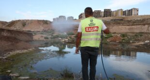 Hatay Büyükşehir Belediyesi ekiplerinin haşere kontrol çalışması