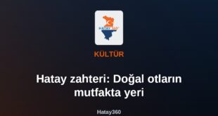 Hatay zahteri: Doğal otların mutfakta yeri