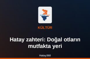 Hatay zahteri: Doğal otların mutfakta yeri