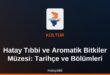 Hatay Tıbbi ve Aromatik Bitkiler Müzesi: Tarihçe ve Bölümleri