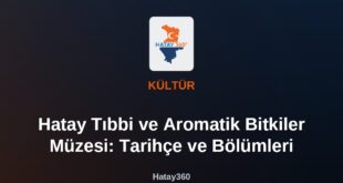 Hatay Tıbbi ve Aromatik Bitkiler Müzesi: Tarihçe ve Bölümleri