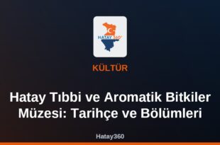 Hatay Tıbbi ve Aromatik Bitkiler Müzesi: Tarihçe ve Bölümleri