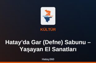 Hatay’da Gar (Defne) Sabunu – Yaşayan El Sanatları